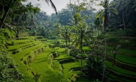 Voyage à Bali : les meilleures activités en plein air à ne pas manquer