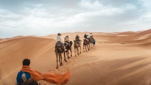 Excursion dans le désert Marocain