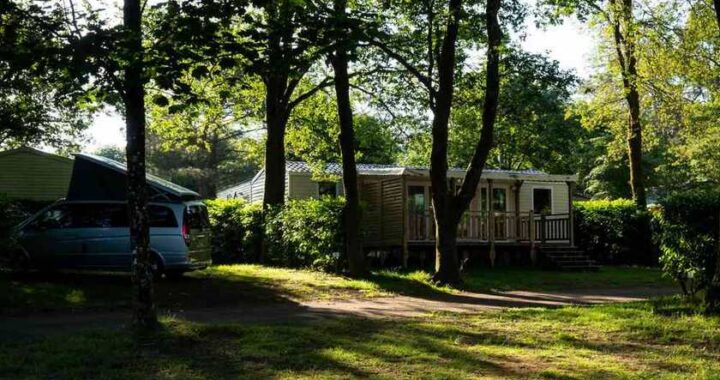 Caravane et maison mobile entourées de verdure dans un cadre de camping