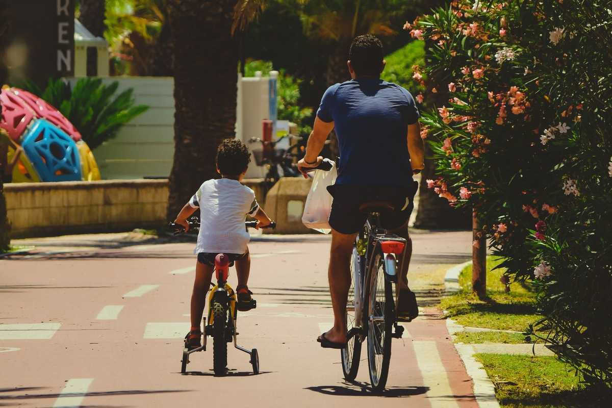 Homme et enfant en vélo sur une route, près de buissons fleuris Homme et enfant en vélo sur une route, près de buissons fleuris