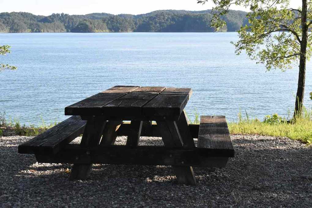 Table de pique-nique en bois au bord d'un lac, avec forêt en arrière-plan Table de pique-nique en bois au bord d'un lac, avec forêt en arrière-plan