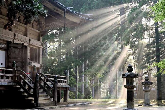 Rayons de soleil traversent la clairière autour du temple ancien