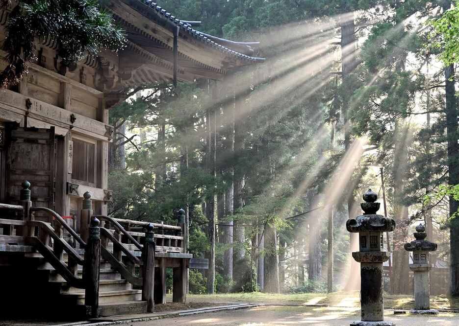Rayons de soleil traversent la clairière autour du temple ancien