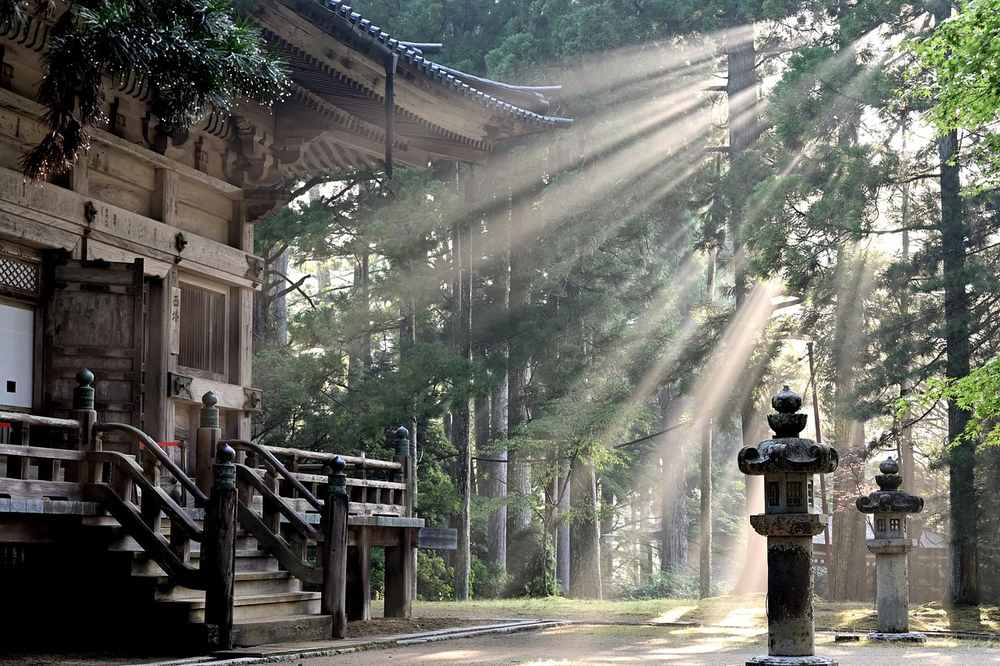 Rayons de soleil traversent la clairière autour du temple ancien